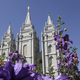 Image for article titled Mormon Church Threatens to Excommunicate Same-Sex Couples, Excludes Their Children From Baptism